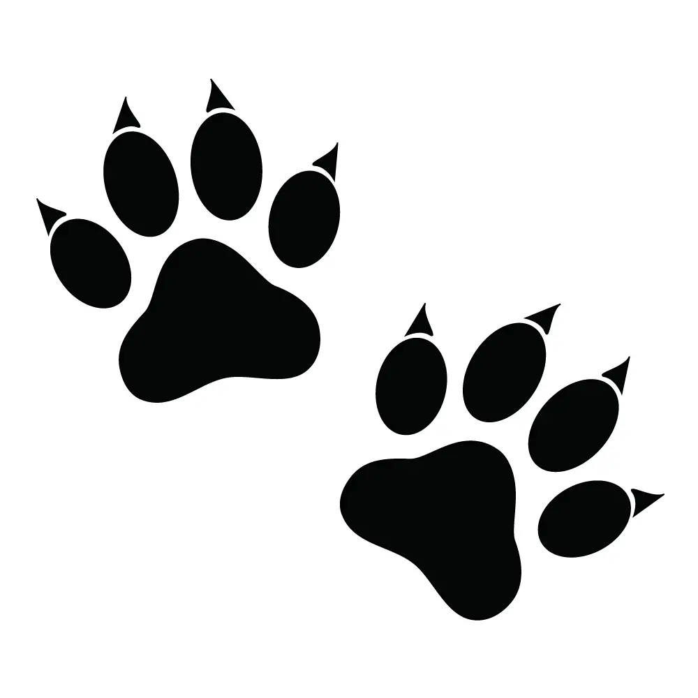 How To Draw A Cat Paw Print Step By Step Printable Templates