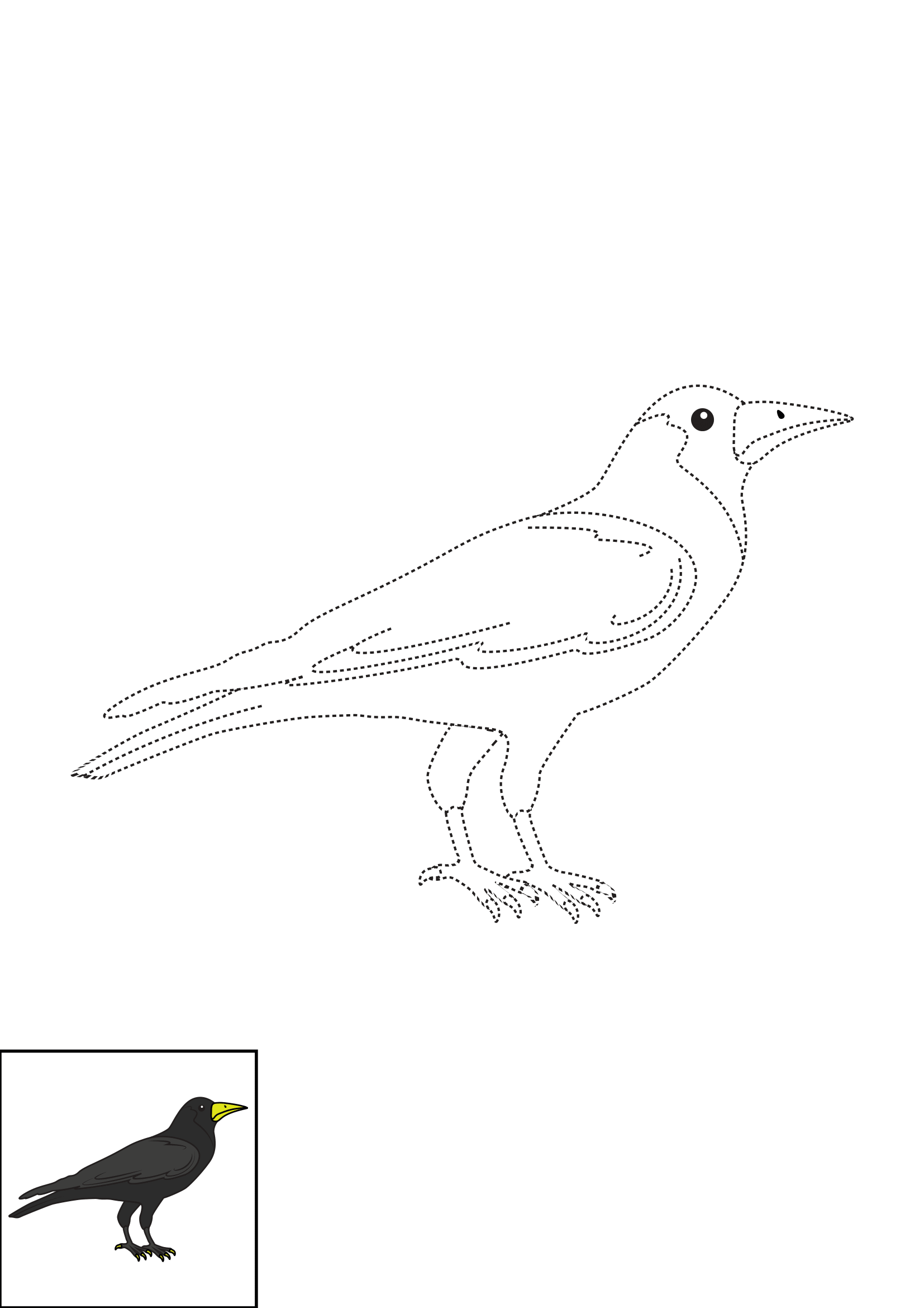 How to Draw A Crow Step by Step Printable Dotted
