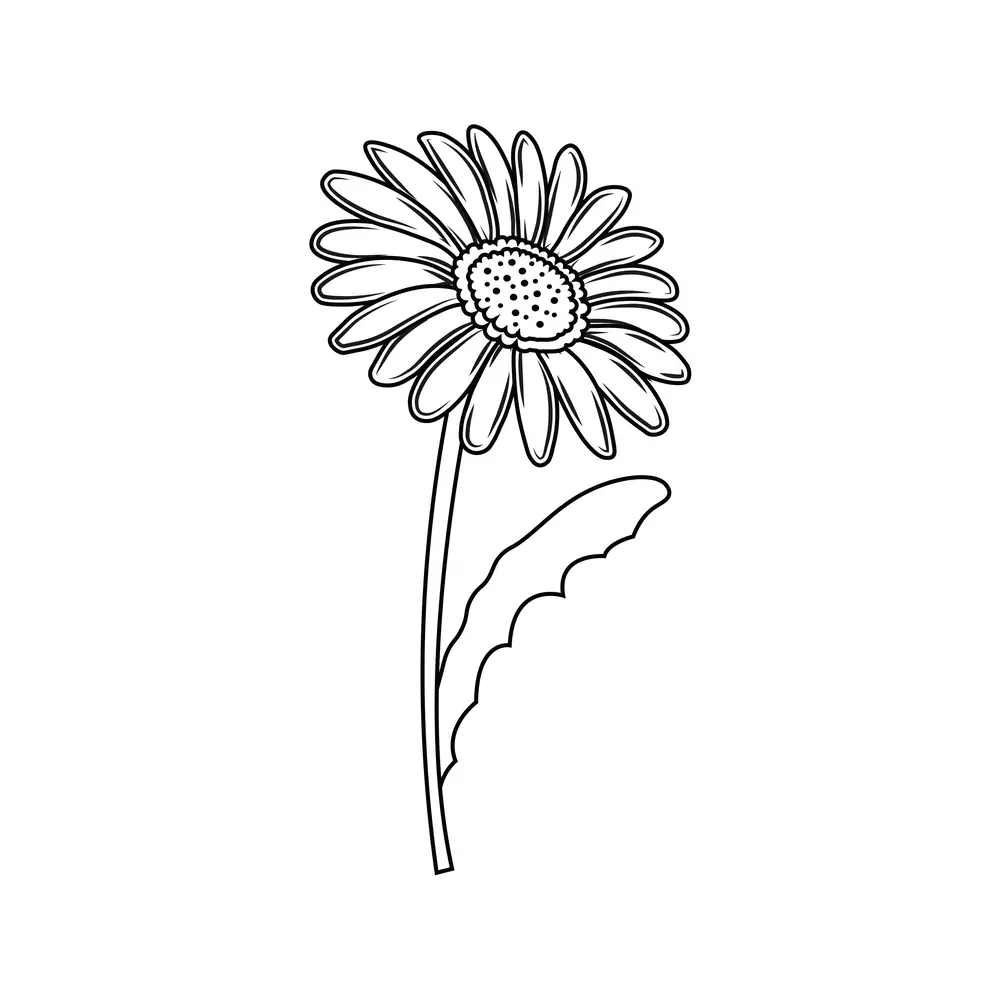 How to Draw A Daisy Step by Step Step  10