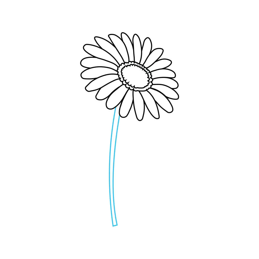 How to Draw A Daisy Step by Step Step  6