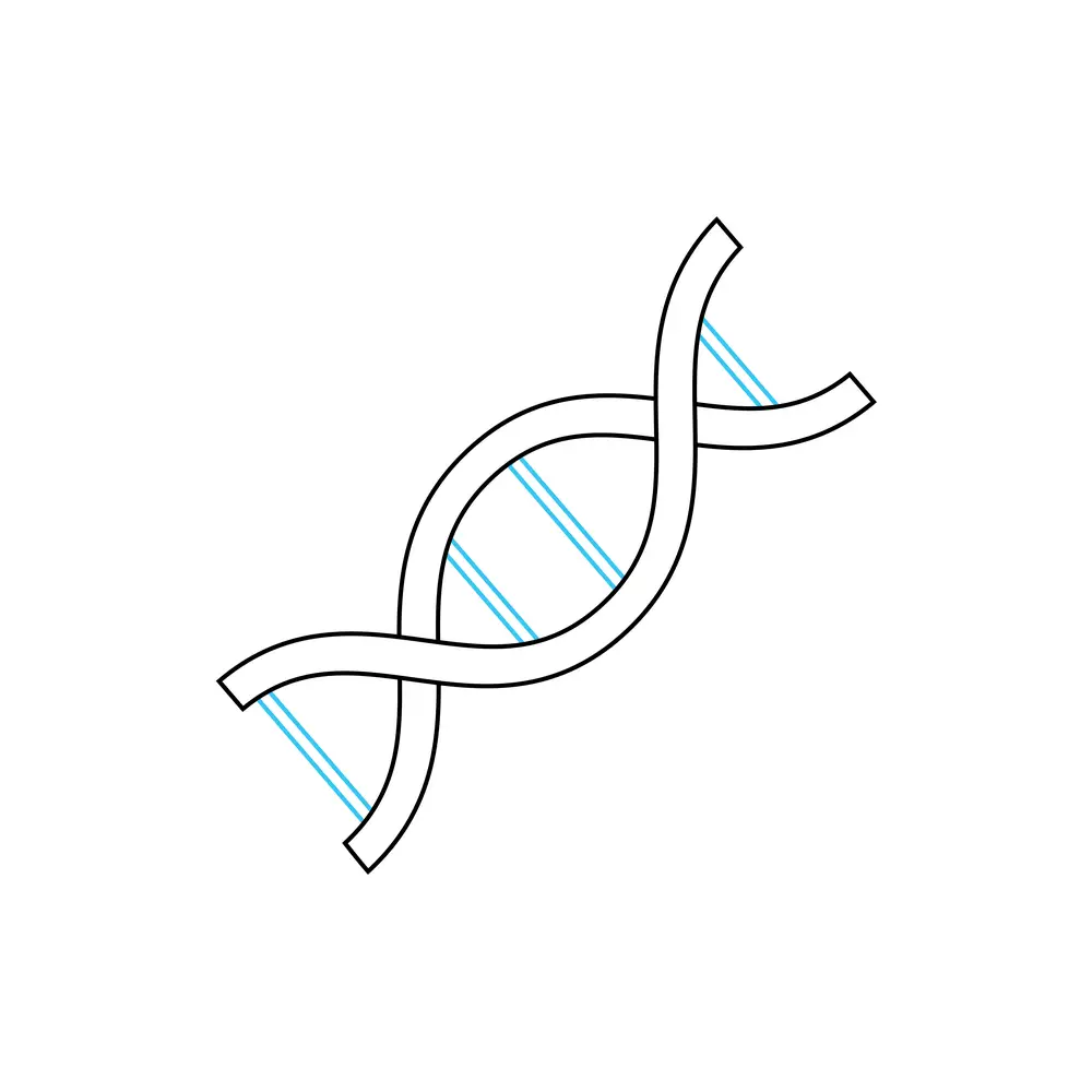 Simple Dna Strand Drawing