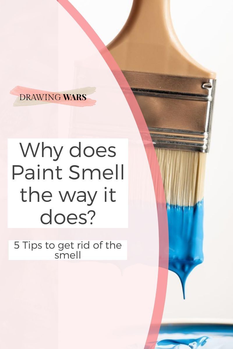 Why Does Paint Smell The Way It Does 5 Tips