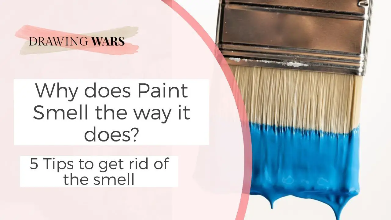 Why Does Paint Smell The Way It Does 5 Tips