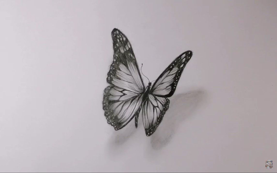 how to draw a realistic butterfly