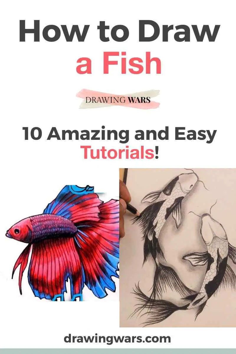 How to Draw a Koi Fish - An Easy Koi Fish Drawing