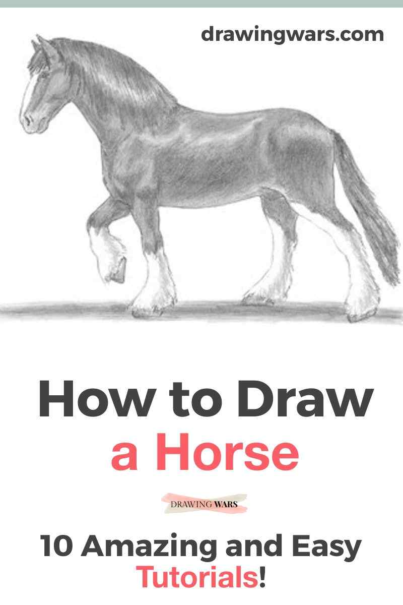 Black Stallion Horse Sketch With Racehorse Head Stock Clipart |  Royalty-Free | FreeImages