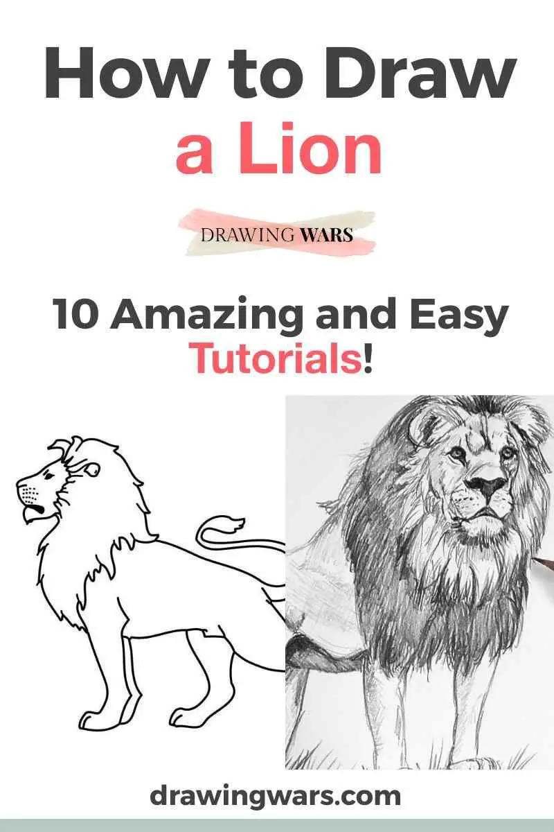 How To Draw a Lion | YouTube Studio Sketch Tutorial - YouTube