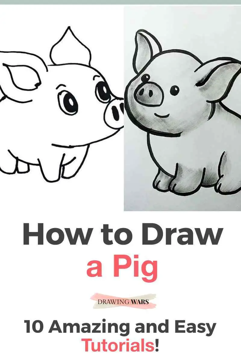 Pig Drawing Tutorial - How to draw Pig step by step