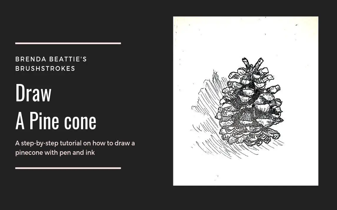 Step by Step Pinecone Drawing Tutorial
