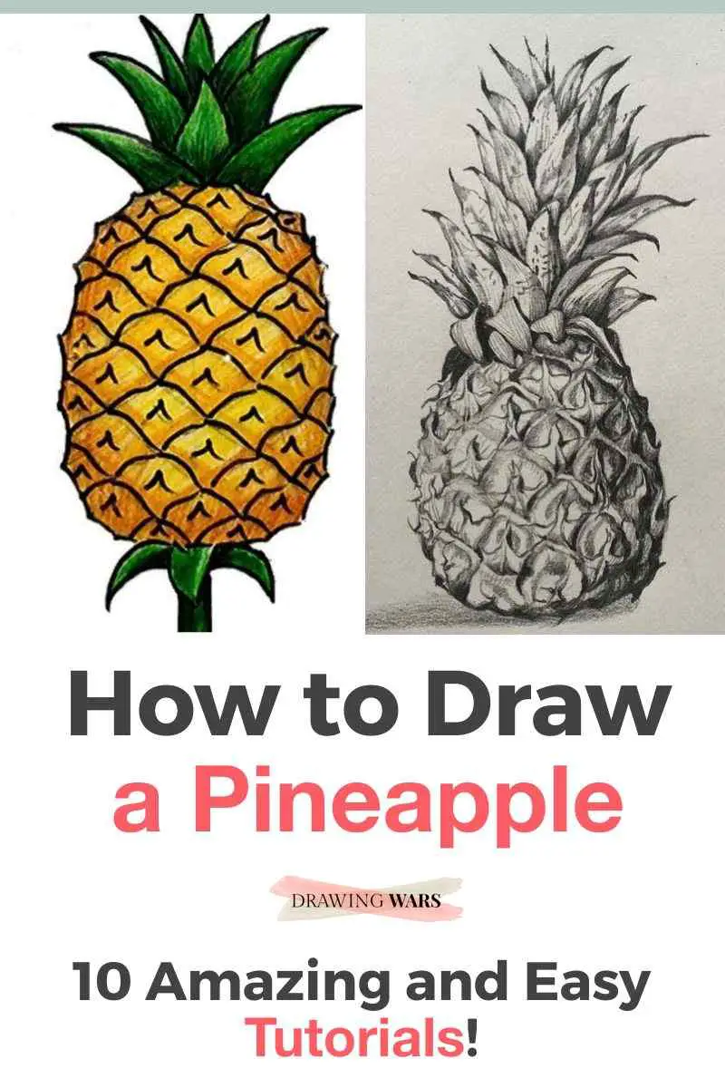 How to Draw a Pineapple in 5 Steps