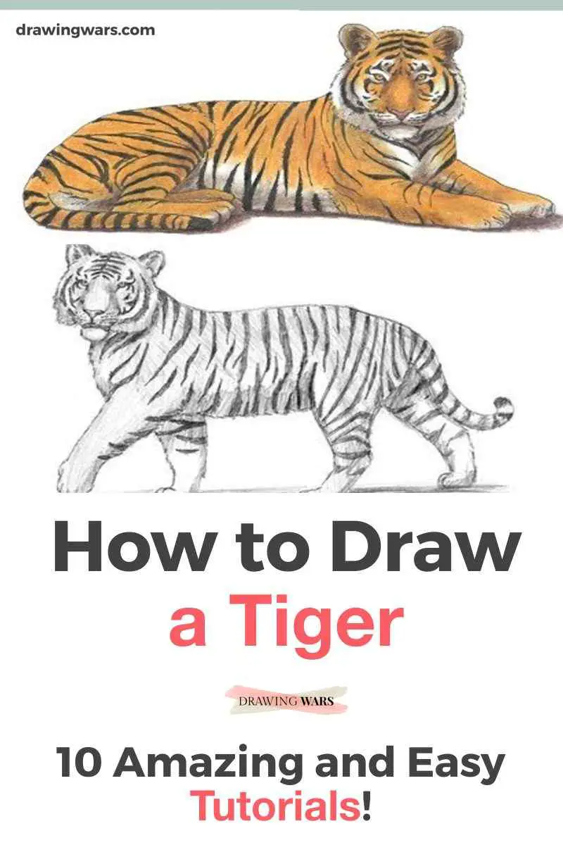 Cartoon Sketch Scene with Tiger Cat on White Background - Illustration  Stock Illustration - Illustration of happy, line: 198284235