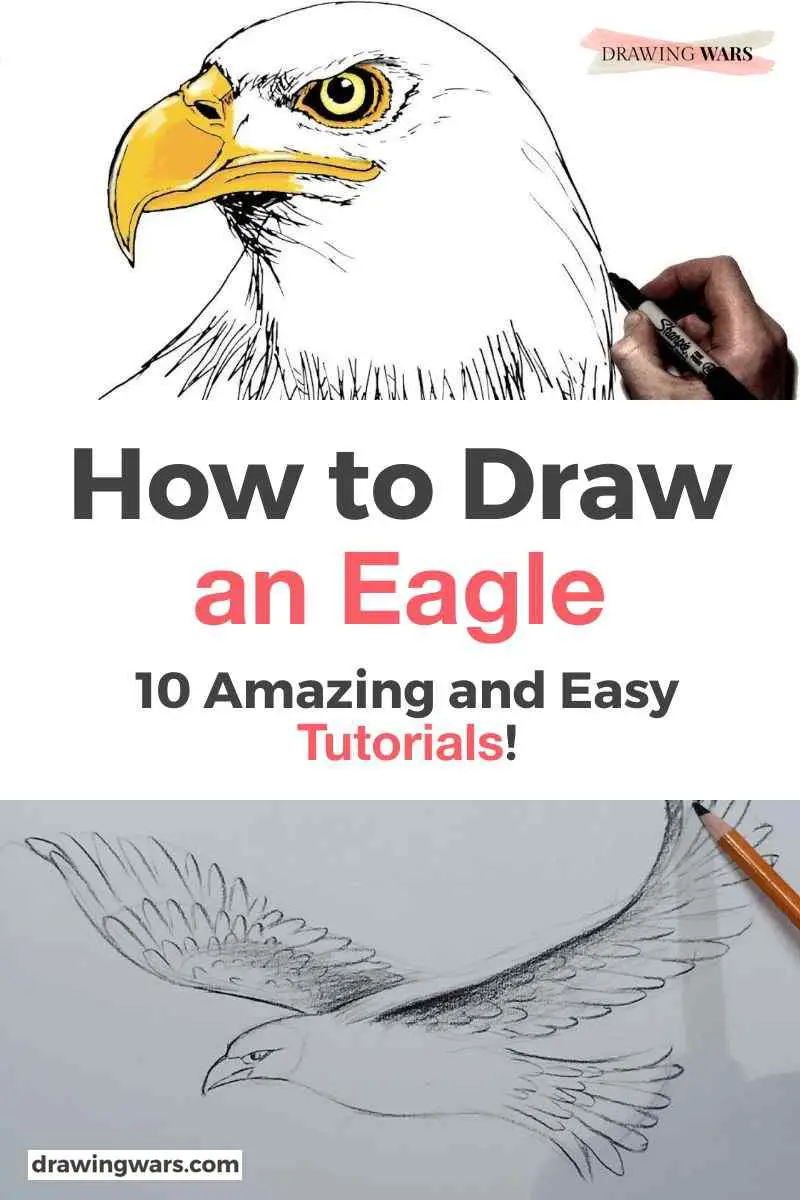 how to draw a eagle step by step easy