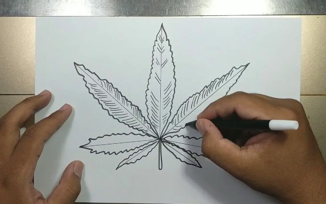 weed leaf drawing step by step